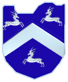 Dornan shield