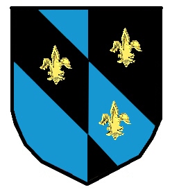 Jenkins shield