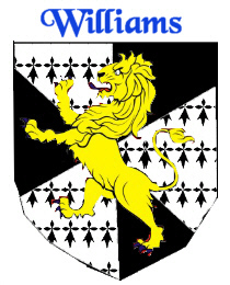 Williams shield by Betmatrho